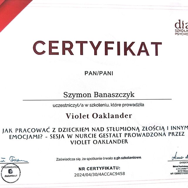Powiększ obraz: certificate 3