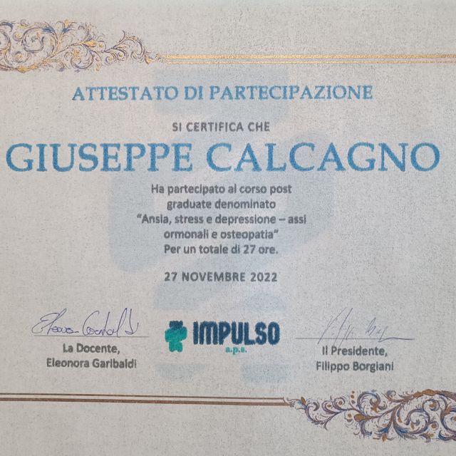 Ingrandire l'immagine: certificate 1