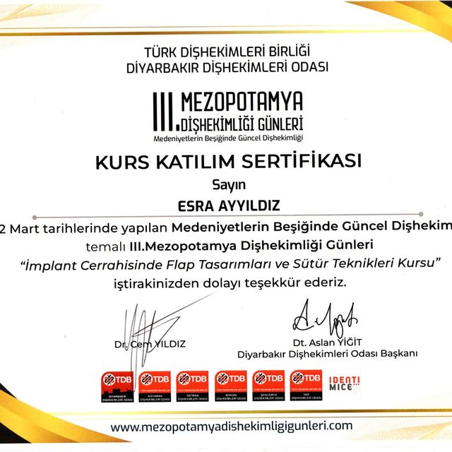 Resmi büyüt: certificate 2
