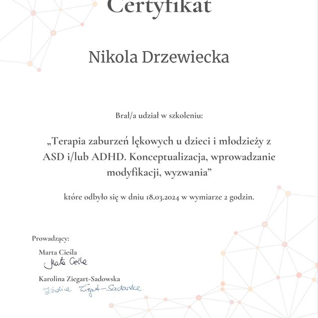 Powiększ obraz: certificate 7