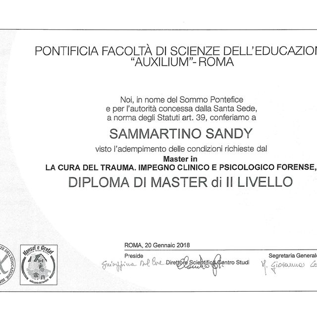 Ingrandire l'immagine: certificate 1