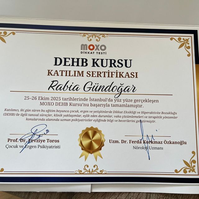 Resmi büyüt: certificate 3