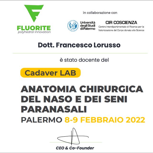 Ingrandire l'immagine: certificate 15