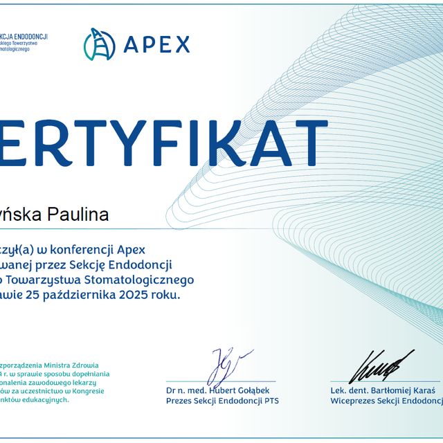Powiększ obraz: certificate 2