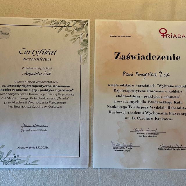 Powiększ obraz: certificate 1