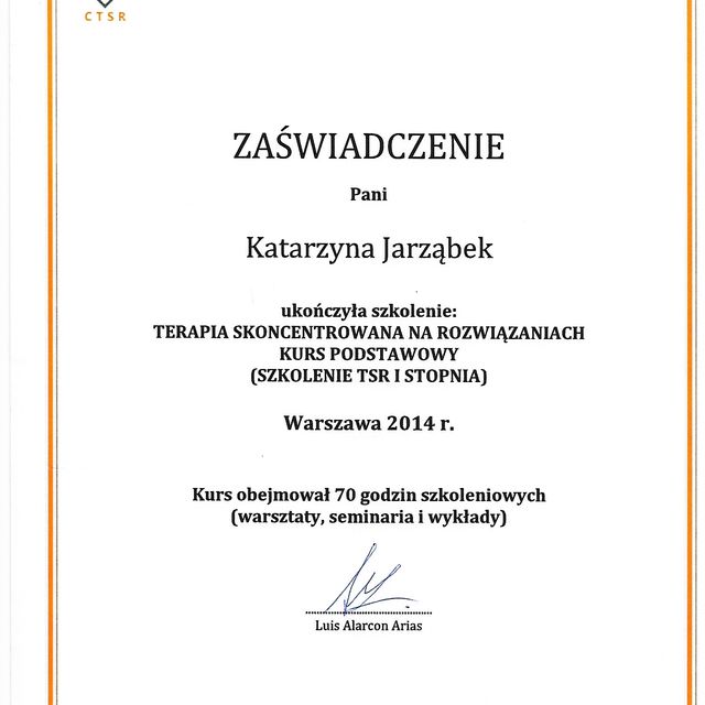 Powiększ obraz: certificate 2