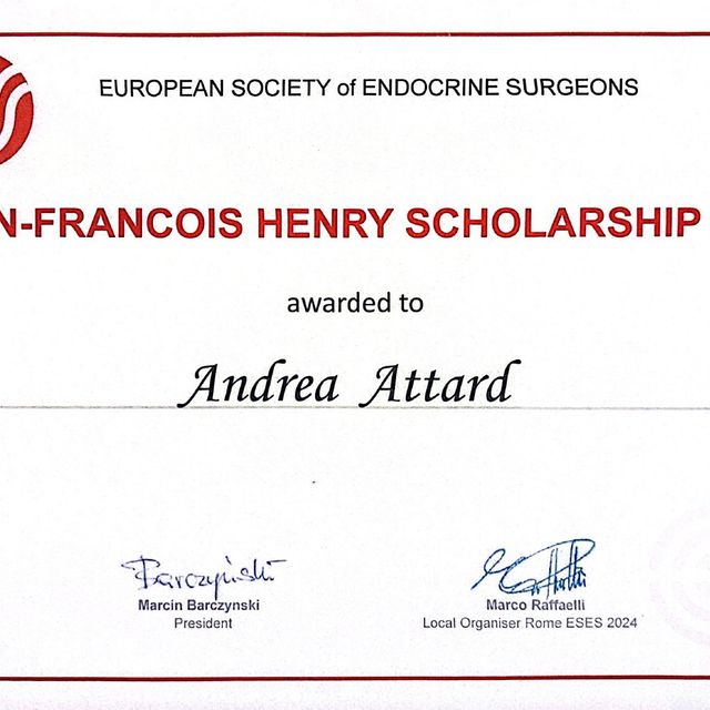 Ingrandire l'immagine: certificate 2