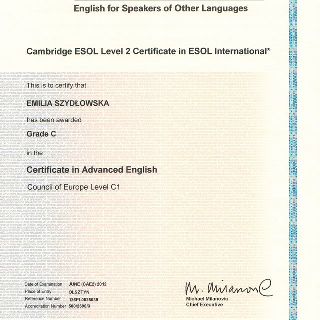 Powiększ obraz: certificate 3