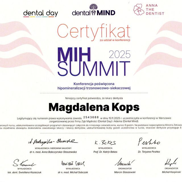 Powiększ obraz: certificate 2