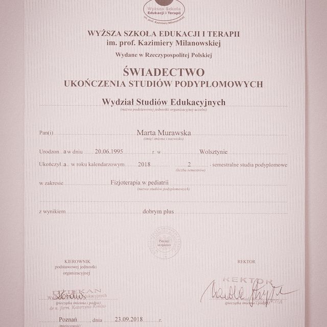 Powiększ obraz: certificate 24