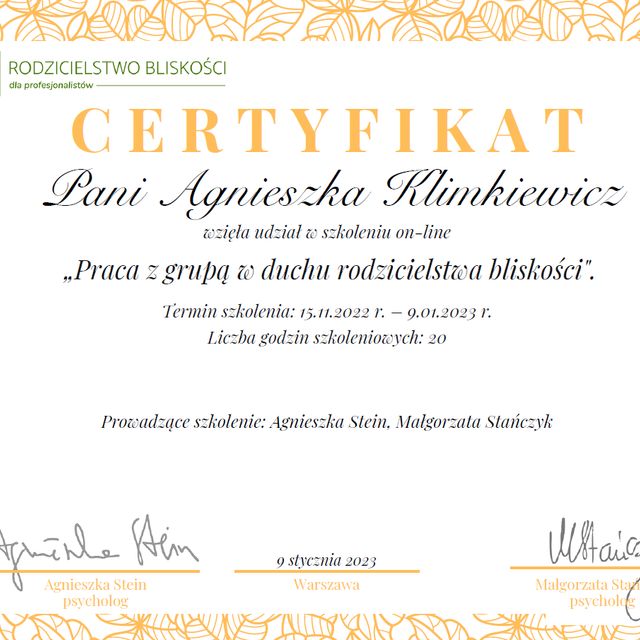 Powiększ obraz: certificate 7