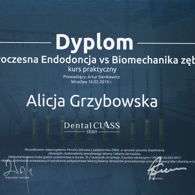 Powiększ obraz: certificate 6