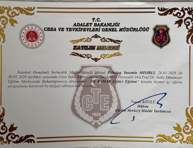 Resmi büyüt: certificate 1