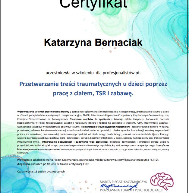 Powiększ obraz: certificate 26