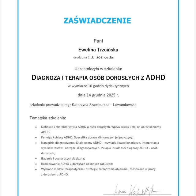 Powiększ obraz: certificate 2