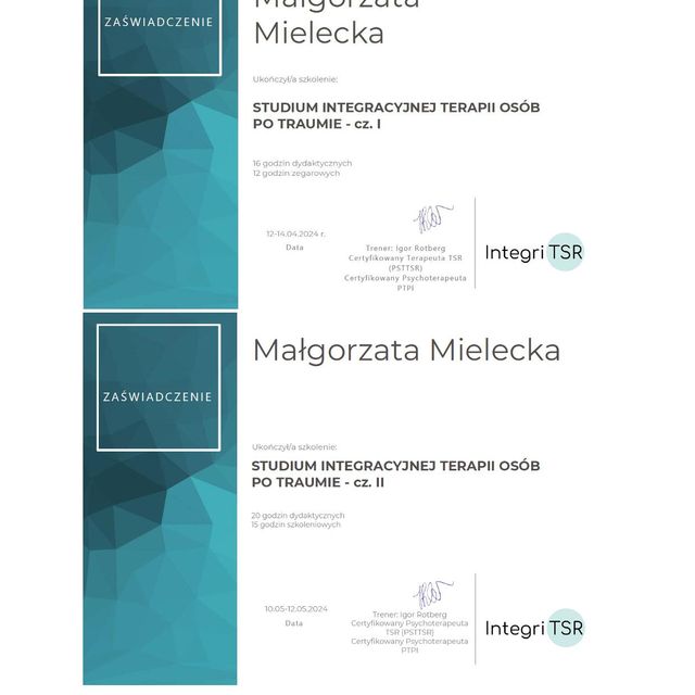 Powiększ obraz: certificate 1