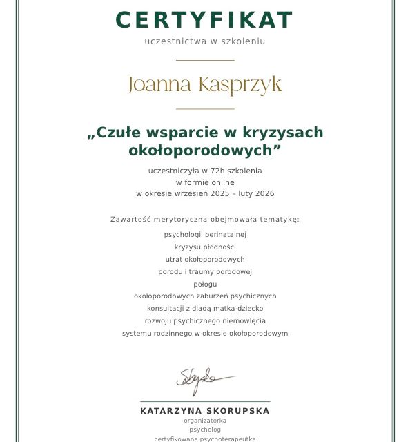 Powiększ obraz: certificate 1