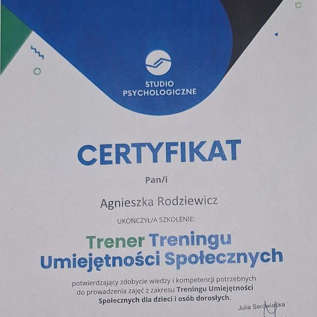 Powiększ obraz: certificate 3