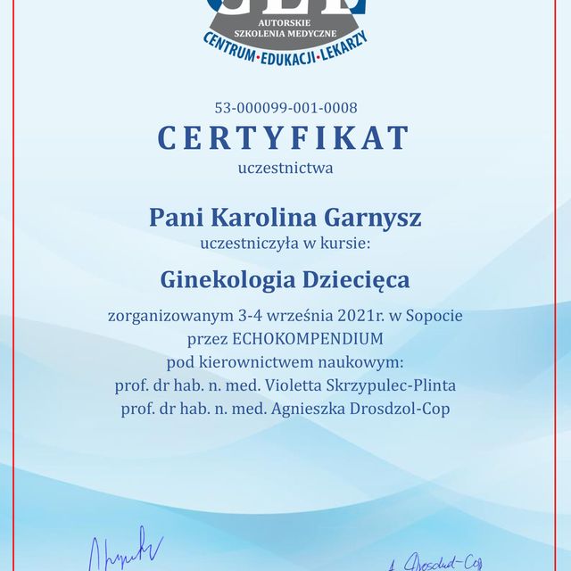 Powiększ obraz: certificate 2