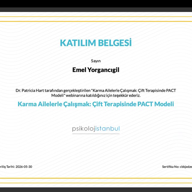 Resmi büyüt: certificate 8