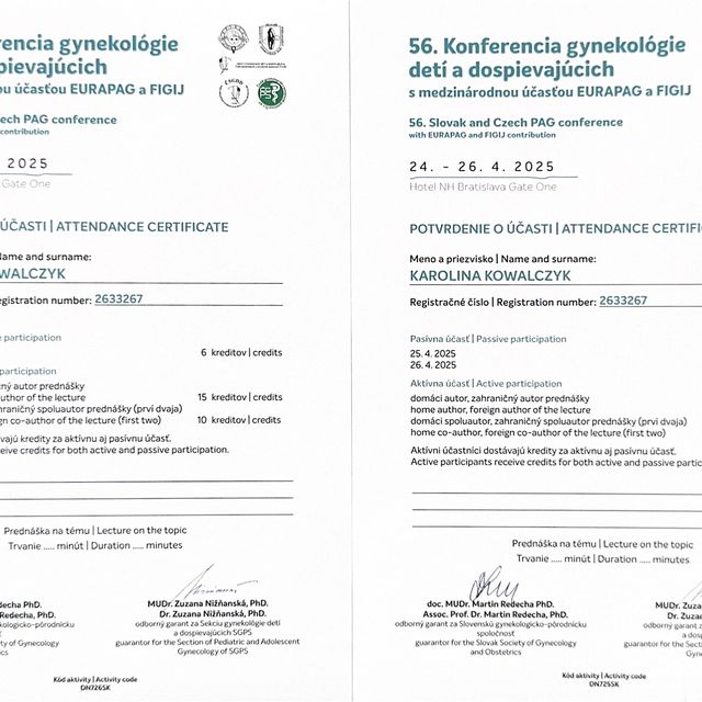 Powiększ obraz: certificate 7