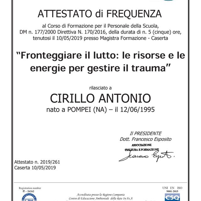 Ingrandire l'immagine: certificate 1