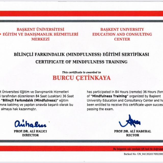 Resmi büyüt: certificate 21