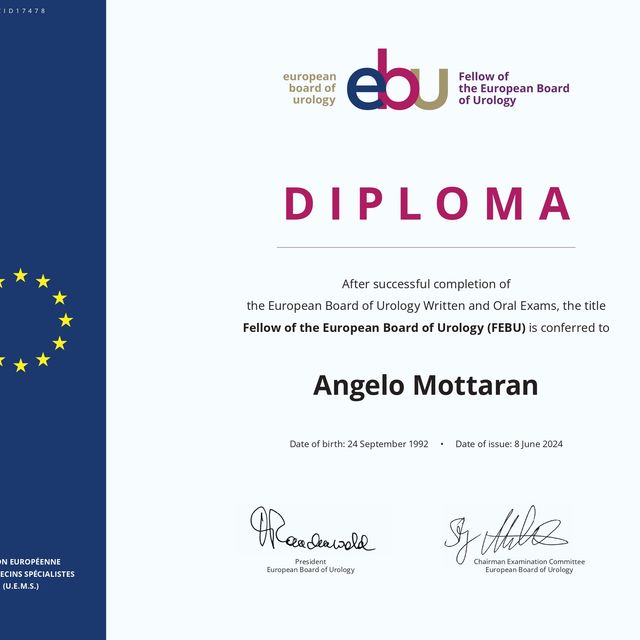 Ingrandire l'immagine: certificate 1
