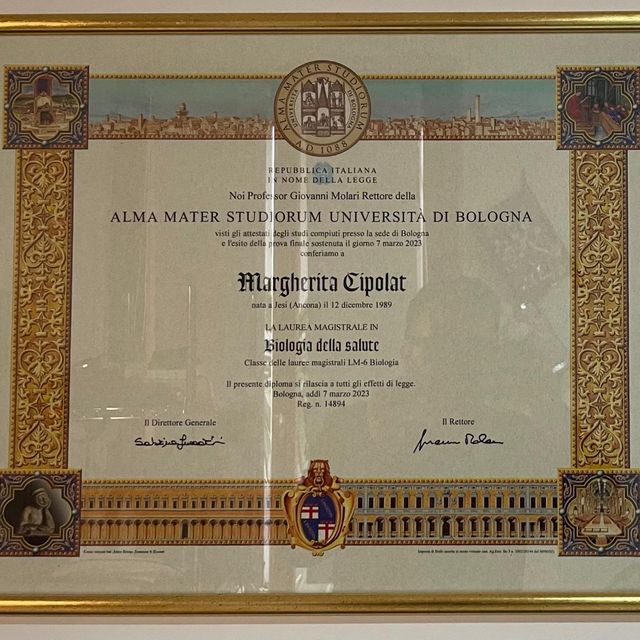 Ingrandire l'immagine: certificate 1