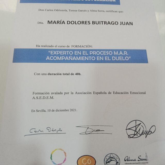Acercar imagen: certificate 8