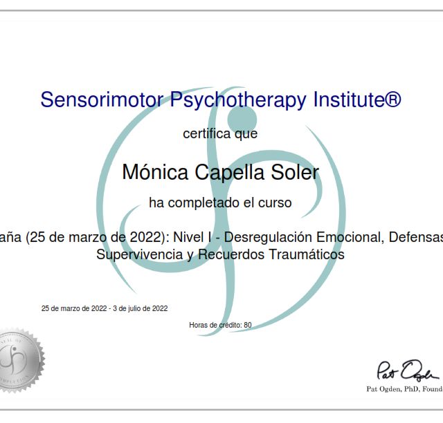 Acercar imagen: certificate 3
