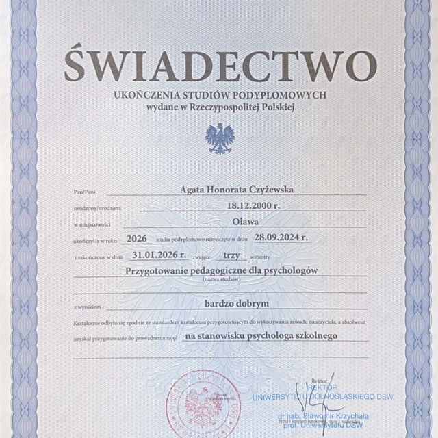 Powiększ obraz: certificate 1