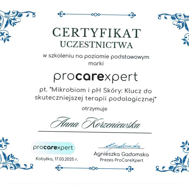 Powiększ obraz: certificate 20