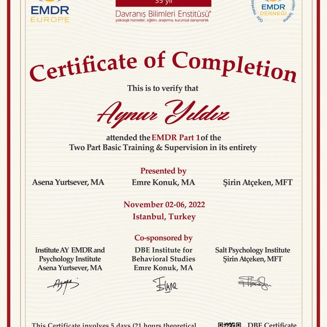 Resmi büyüt: certificate 11