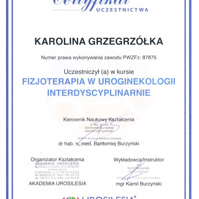 Powiększ obraz: certificate 1