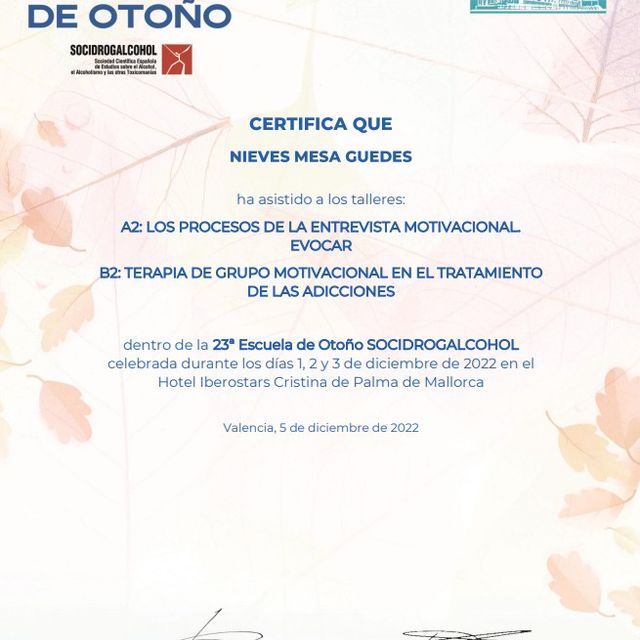 Acercar imagen: certificate 20
