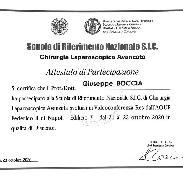 Ingrandire l'immagine: certificate 15