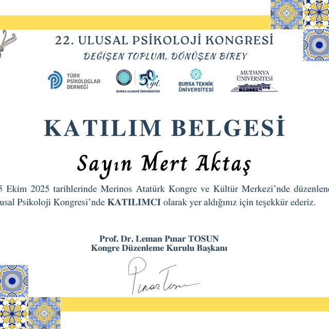 Resmi büyüt: certificate 11