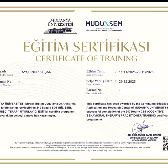 Resmi büyüt: certificate 4