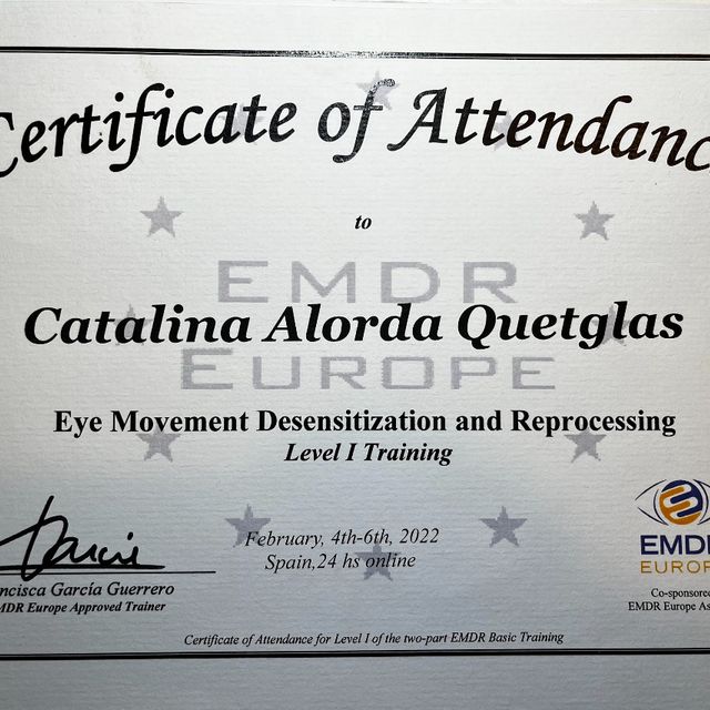 Acercar imagen: certificate 1