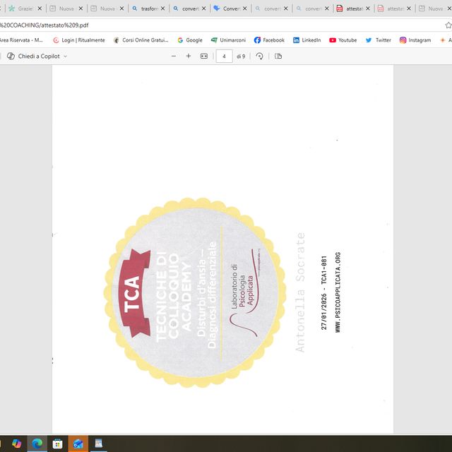Ingrandire l'immagine: certificate 7