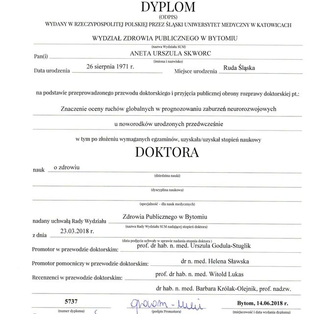 Powiększ obraz: certificate 1