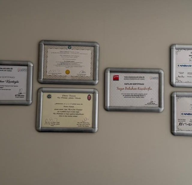 Resmi büyüt: certificate 1