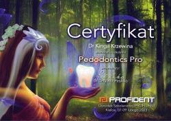 Powiększ obraz: certificate 7
