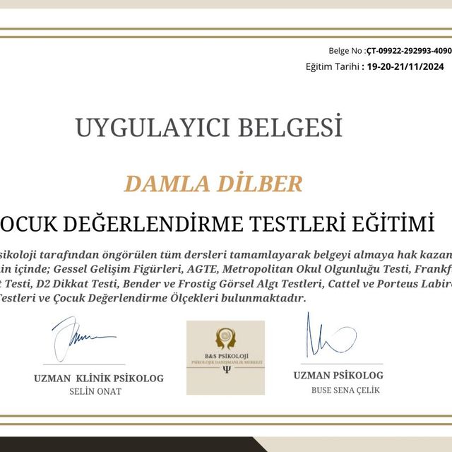 Resmi büyüt: certificate 45