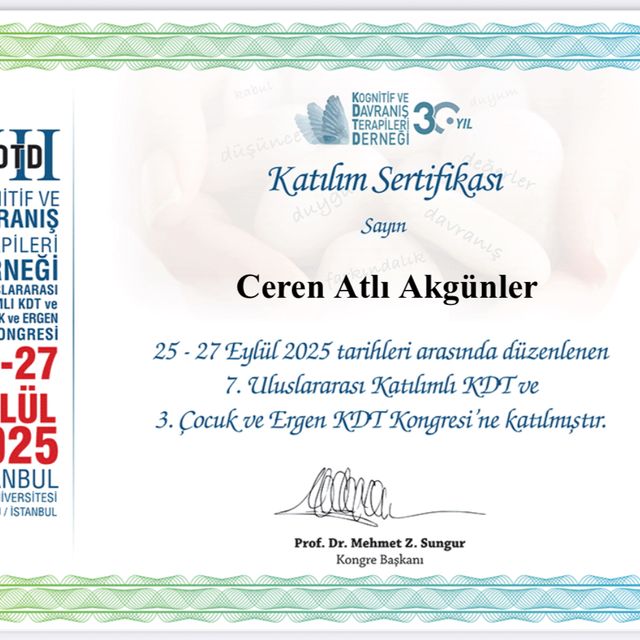 Resmi büyüt: certificate 23