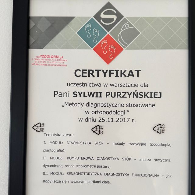 Powiększ obraz: certificate 11