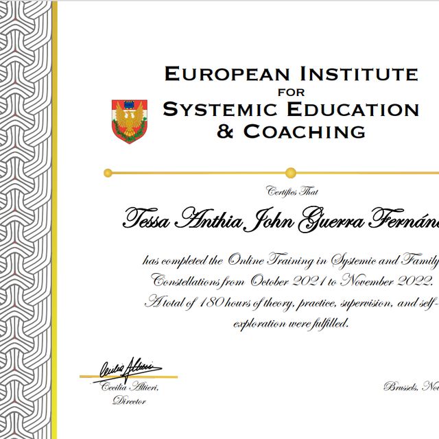 Acercar imagen: certificate 5