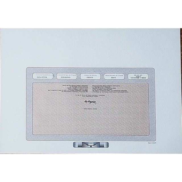 Acercar imagen: certificate 6