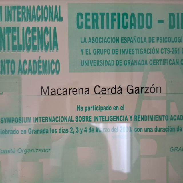 Acercar imagen: certificate 9